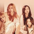 Teman lisa/grup