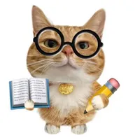 Author (B)