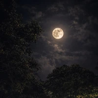darkness