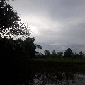 แอดเอง