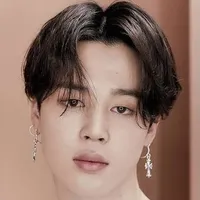 Park Jimin (Novel MC)