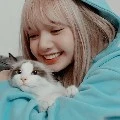 Lisa