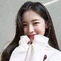 Y/N atau Jaea