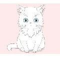 KITTY