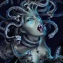 Meduse