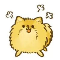 Mr kat