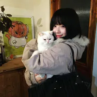 ʏᴊ