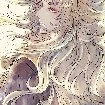 sesshoumaru