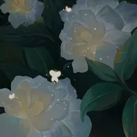 [Author]