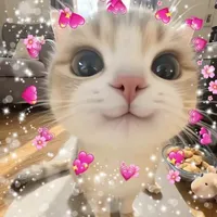 cutie author