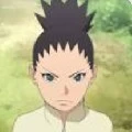 shidakai