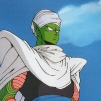 piccolo