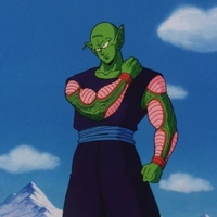 piccolo