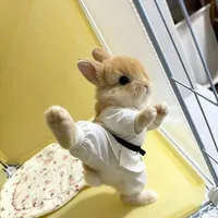 bunny
