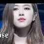 rose (vampir)