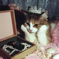 EMPRESS