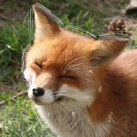 ANU