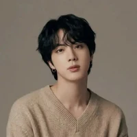 Kim seok jin husband of Kim namjoon