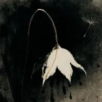 Anatoth