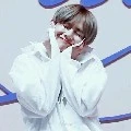 TAE
