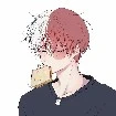 ☆ todoroki ☆