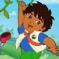 diego