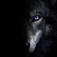 Kuro jk wolf