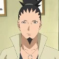 Shikamaru Nara