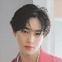 dedi bts