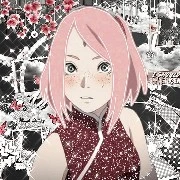 sakura
