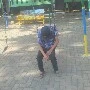 Putra