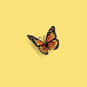 butterfly