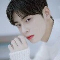 Cha Eunwoo