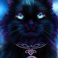 black cat