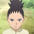 Shikadai
