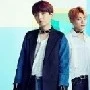 suga