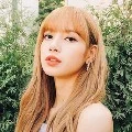 lalis(mami jimin)