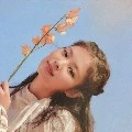 แอดเอง