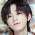 choi louis / lee louis