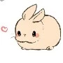 Kouda