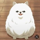 Kimu