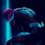 homem Aranha v2