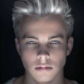 david