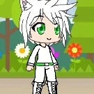 Roko