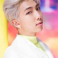 Kim Namjoon (RM)
