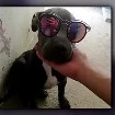 señor chido