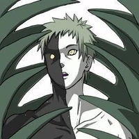 Zetsus Kageyu (colados)