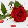 All