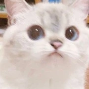 Miao