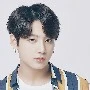 Jungkook Kimberly